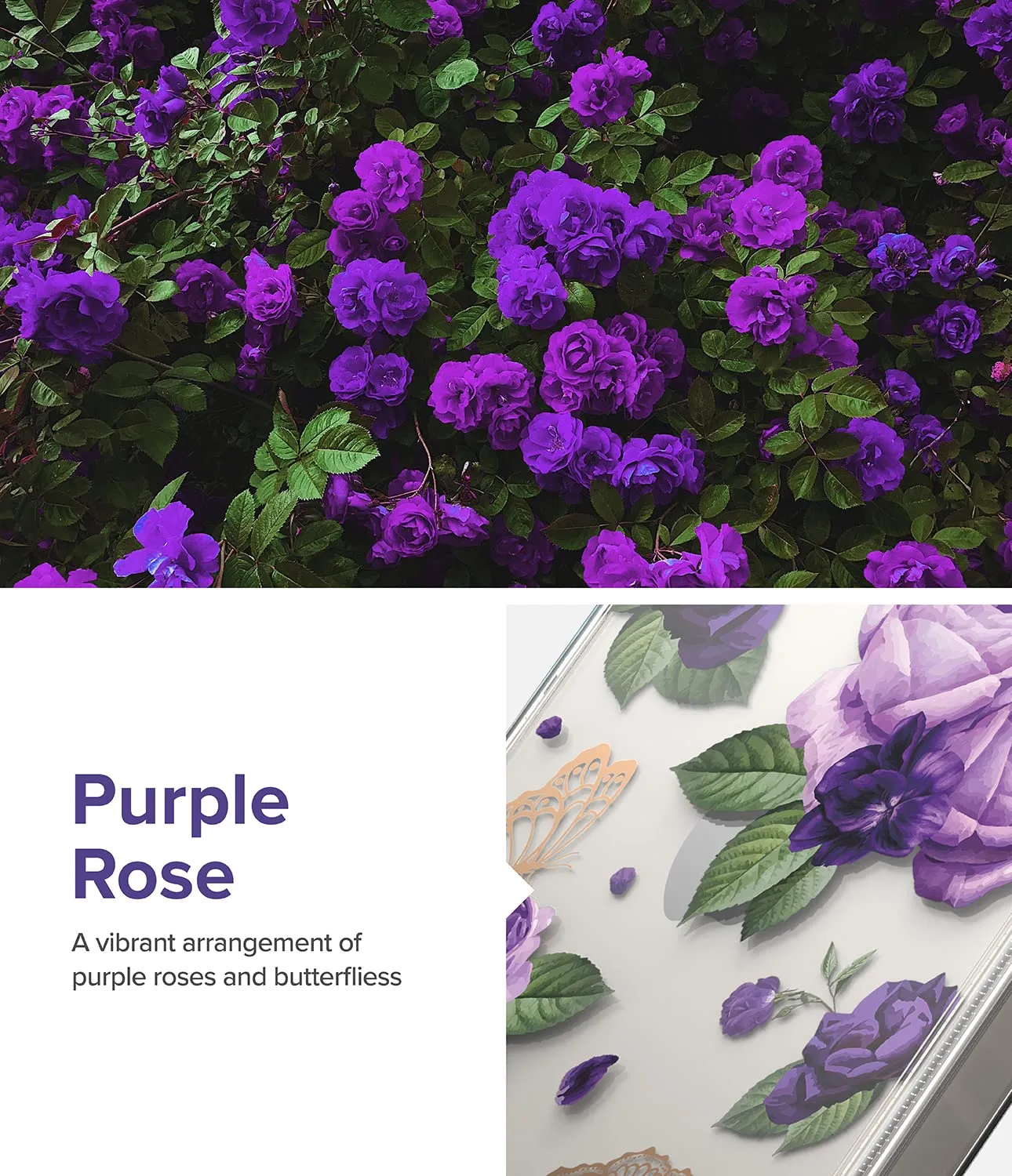 Apple iPhone 14 Back Cover Case | Fusion Design - Purple Rose