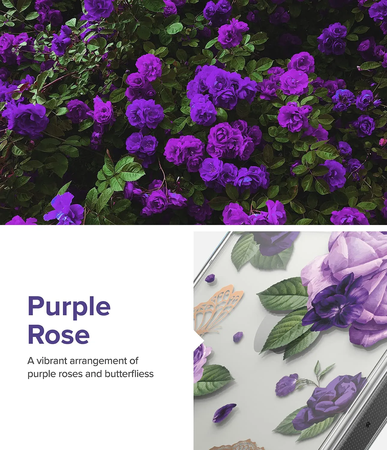 Apple iPhone 14 Pro Back Cover Case | Fusion Design - Purple Rose