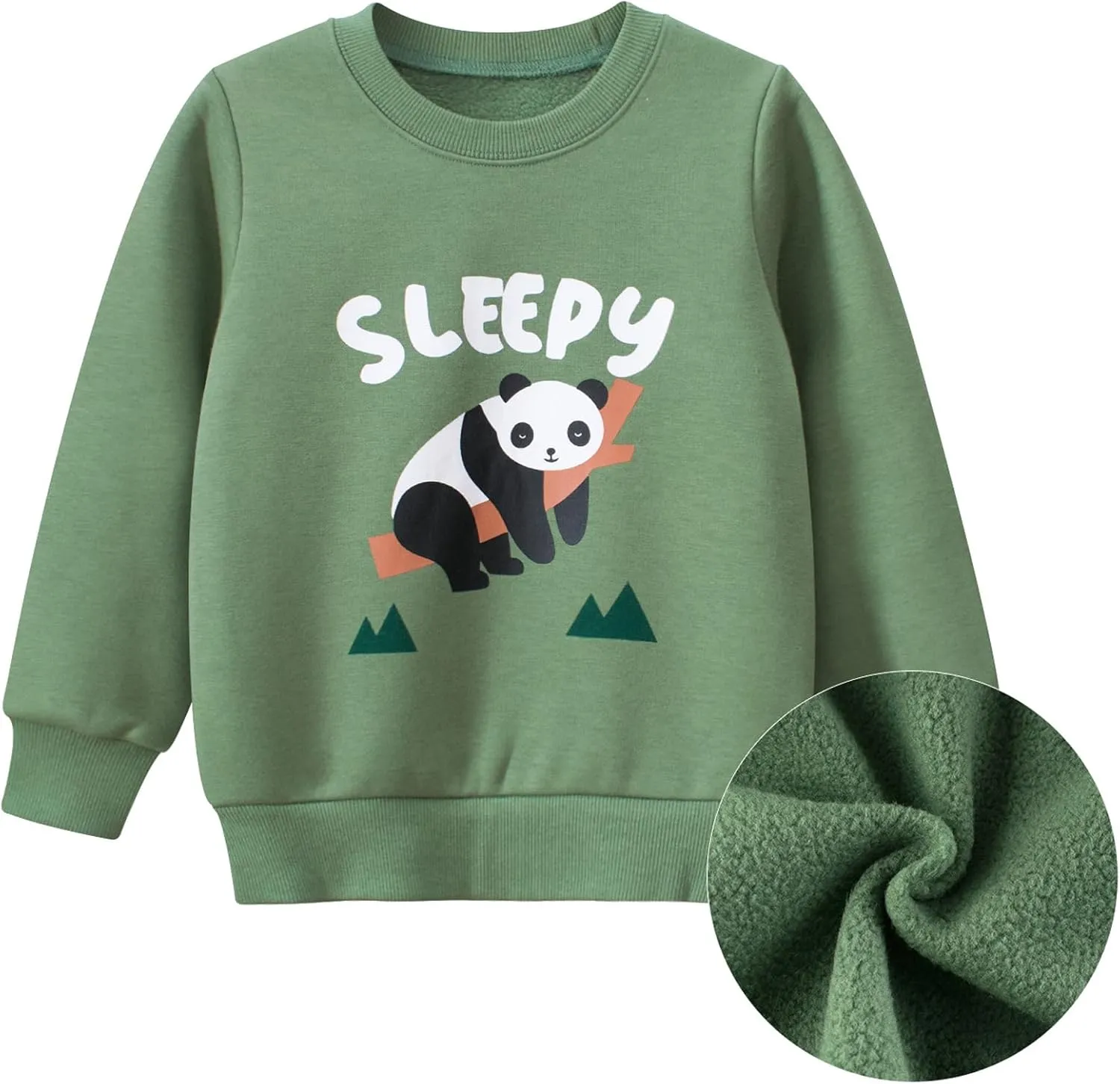 Toddler Boys Fleece Sweatshirts Dinosaur Crewneck Pullover Sweater Winter Clothes
